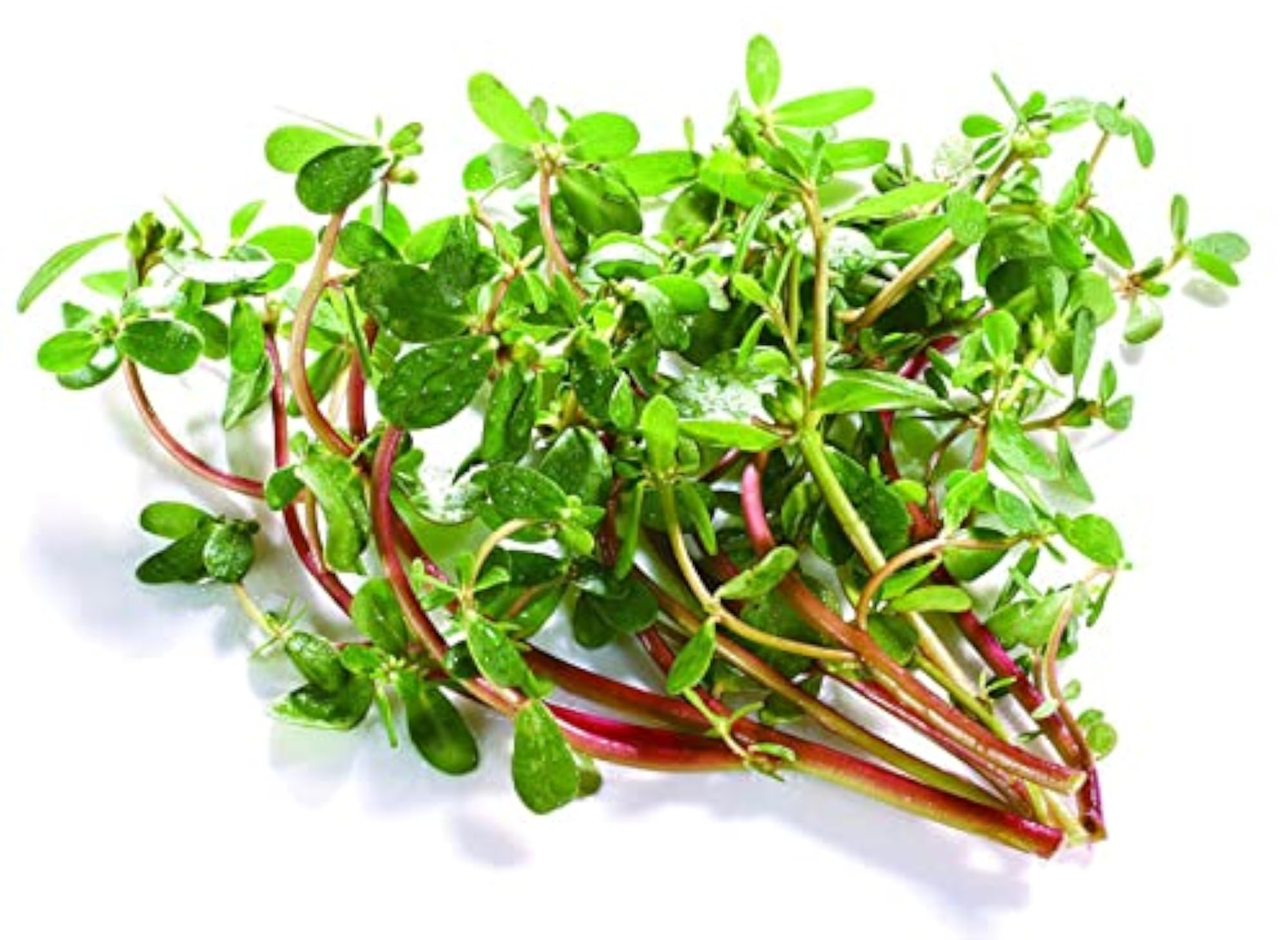 Organic Brahmi Powder, Bacopa Monnieri Leaves, 500 Gms